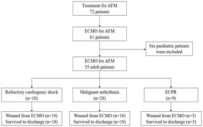 Optimising the ECMO treatment regimen increases the survival rate for adult patients with acute fulminant myocarditis: A single-centre retrospective cohort study